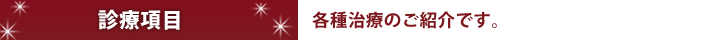 診療項目 各種治療のご紹介です。